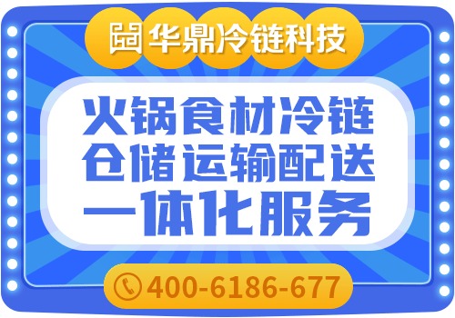 冷链物流行业领军企业概览 华鼎冷链等企业引领行业发展新趋势